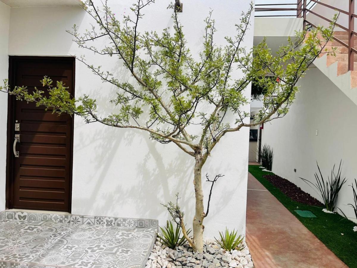 Casa Maya ลาปาซ ภายนอก รูปภาพ